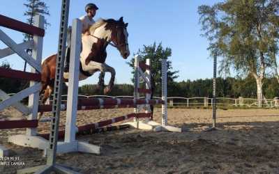 MAXI HORSE (samodzielny kłus i galop)